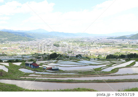 姨捨棚田(長野県千曲市八幡) 姨捨棚田(長野県千曲市八幡) 90265719