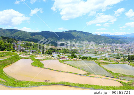 姨捨棚田(長野県千曲市八幡) 姨捨棚田(長野県千曲市八幡) 90265721