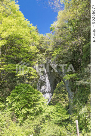 新緑の羅生門 新緑の羅生門 90266077