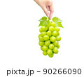 Hand holding a beautiful bunch of Shine Muscat grape, isolated on white background 90266090