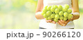 Big bunch of fresh green Shine Muscat grape in woman hand with blurred vineyard background 90266120