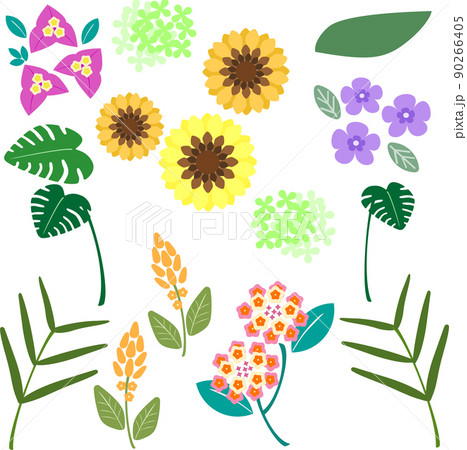 シンプルかわいいトロピカルなお花と葉っぱの素材 90266405