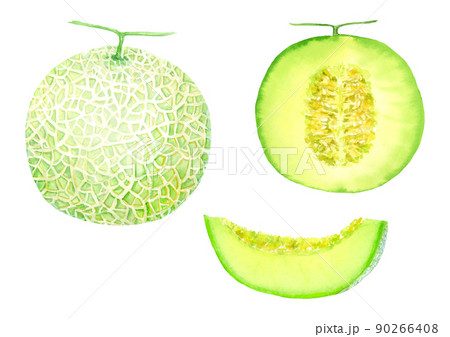 メロンの水彩イラストセット　ベクター 90266408