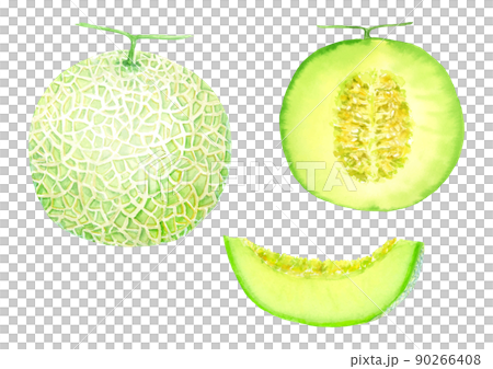 メロンの水彩イラストセット　ベクター 90266408