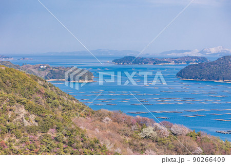 （岡山県）虫明迫門の曙（むしあげせとのあけぼの） 90266409