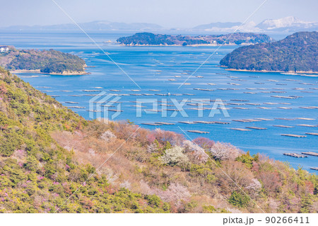 （岡山県）虫明迫門の曙（むしあげせとのあけぼの） 90266411