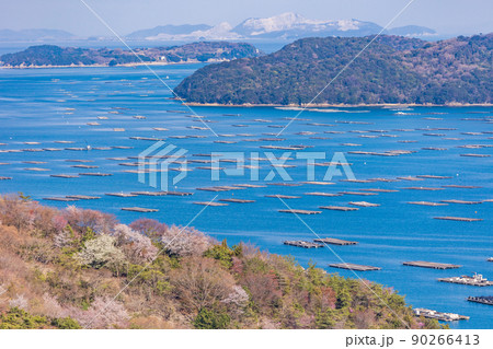 （岡山県）虫明迫門の曙（むしあげせとのあけぼの） 90266413