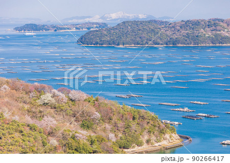 （岡山県）虫明迫門の曙（むしあげせとのあけぼの） 90266417