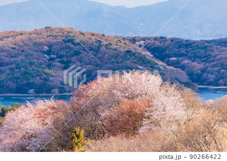 (岡山県)虫明迫門の曙(むしあげせとのあけぼの) (岡山県)虫明迫門の曙(むしあげせとのあけぼの) 90266422