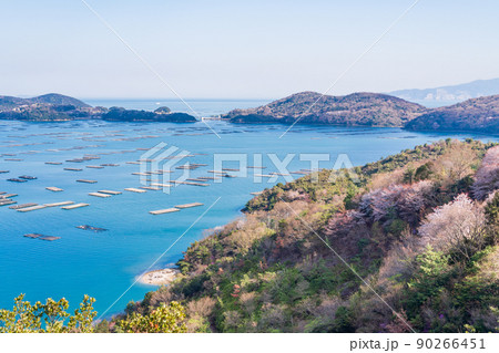 （岡山県）虫明迫門の曙（むしあげせとのあけぼの） 90266451