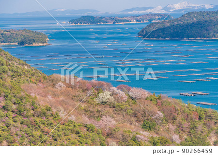 （岡山県）虫明迫門の曙（むしあげせとのあけぼの） 90266459