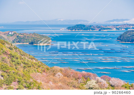 (岡山県)虫明迫門の曙(むしあげせとのあけぼの) (岡山県)虫明迫門の曙(むしあげせとのあけぼの) 90266460