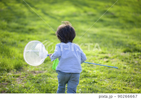 虫採りをする男の子 虫採りをする男の子 90266667