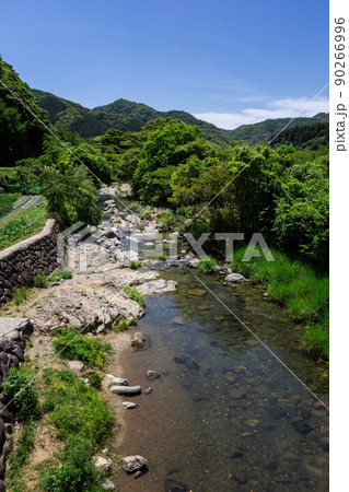 春吉の眼鏡橋から見た紫川の風景　北九州市小倉南区 90266996
