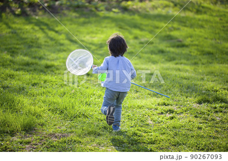 虫採りをする子ども 虫採りをする子ども 90267093