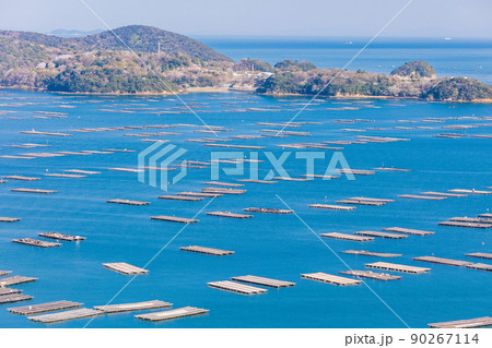 （岡山県）虫明迫門の曙（むしあげせとのあけぼの） 90267114