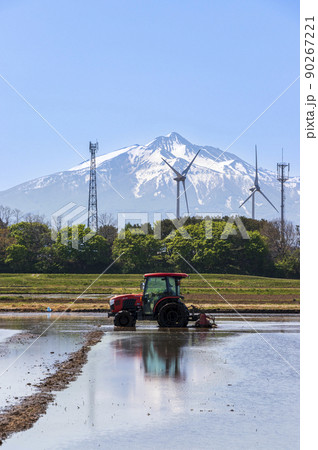 青森県 つがる市の田んぼから望む岩木山と風力発電02 青森県 つがる市の田んぼから望む岩木山と風力発電02 90267221