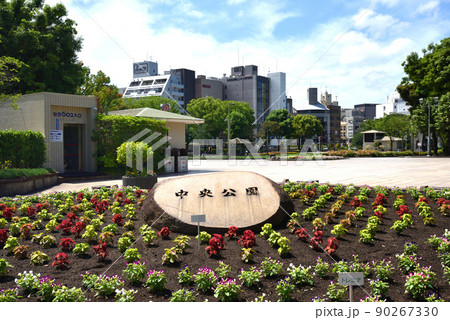 快晴の鹿児島中央公園 快晴の鹿児島中央公園 90267330