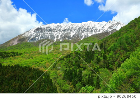 【鳥取県】鍵掛峠から見た冠雪した大山と新緑 【鳥取県】鍵掛峠から見た冠雪した大山と新緑 90268450