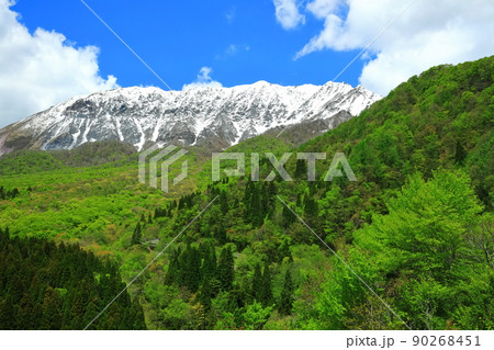 【鳥取県】鍵掛峠から見た冠雪した大山と新緑　 90268451