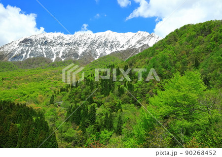 【鳥取県】鍵掛峠から見た冠雪した大山と新緑　 90268452
