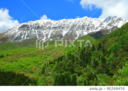 【鳥取県】鍵掛峠から見た冠雪した大山と新緑　 90268456