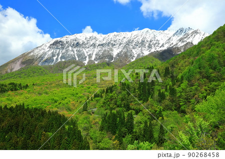 【鳥取県】鍵掛峠から見た冠雪した大山と新緑　 90268458