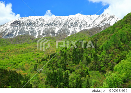 【鳥取県】鍵掛峠から見た冠雪した大山と新緑 【鳥取県】鍵掛峠から見た冠雪した大山と新緑 90268462