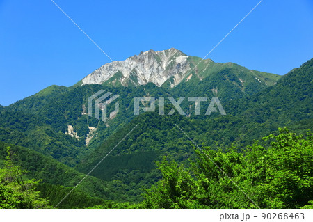 【鳥取県】快晴の大山と新緑（奥大山） 90268463