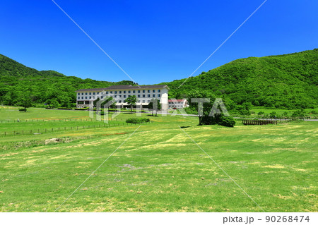 【鳥取県】快晴の鏡ヶ成と新緑（奥大山） 90268474