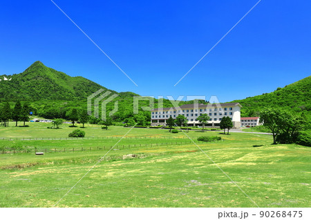 【鳥取県】快晴の鏡ヶ成と新緑（奥大山） 90268475