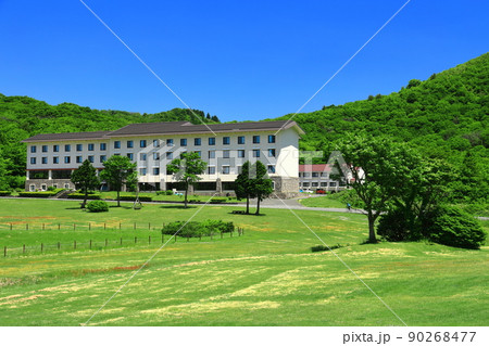 【鳥取県】快晴の鏡ヶ成と新緑（奥大山） 90268477