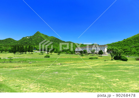 【鳥取県】快晴の鏡ヶ成と新緑（奥大山） 90268478