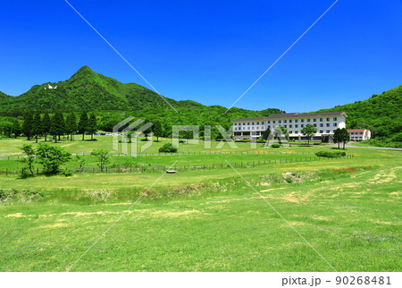 【鳥取県】快晴の鏡ヶ成と新緑（奥大山） 90268481