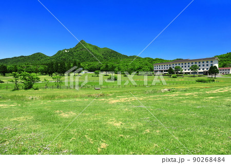 【鳥取県】快晴の鏡ヶ成と新緑(奥大山) 【鳥取県】快晴の鏡ヶ成と新緑(奥大山) 90268484