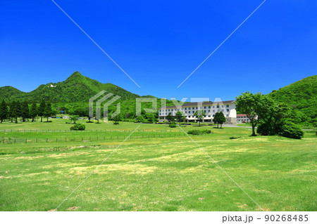 【鳥取県】快晴の鏡ヶ成と新緑（奥大山） 90268485