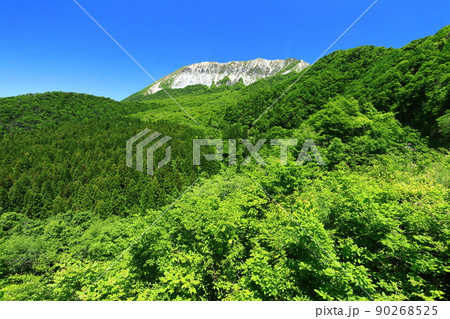 【鳥取県】快晴の鍵掛峠から見た新緑の大山 【鳥取県】快晴の鍵掛峠から見た新緑の大山 90268525