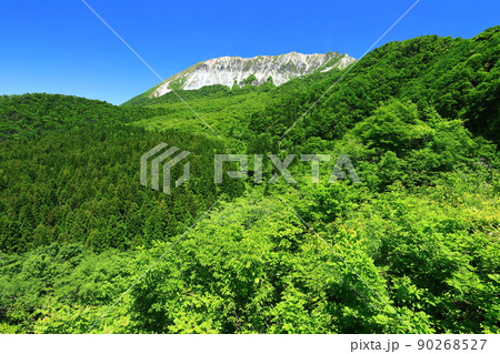 【鳥取県】快晴の鍵掛峠から見た新緑の大山 90268527