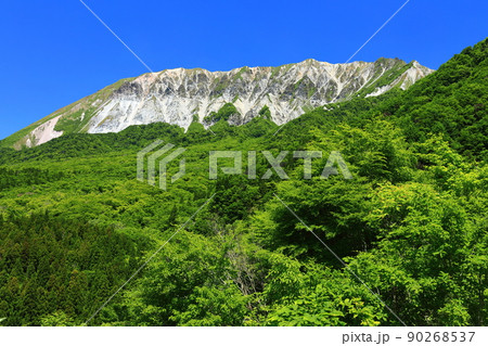 【鳥取県】快晴の鍵掛峠から見た新緑の大山 90268537
