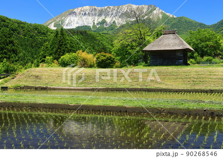 【鳥取県】快晴の大山と御机の茅葺小屋 【鳥取県】快晴の大山と御机の茅葺小屋 90268546