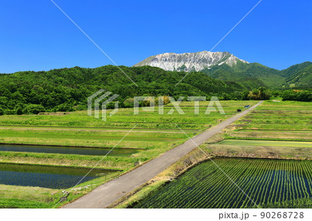 【鳥取県】快晴の大山と御机の水田 【鳥取県】快晴の大山と御机の水田 90268728