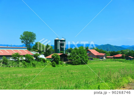 【岡山県】新緑の蒜山高原（中国四国酪農大学校） 90268746