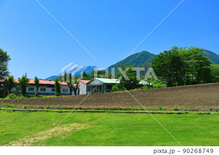 【岡山県】新緑の蒜山高原（ひるぜん ジャージーランド） 90268749