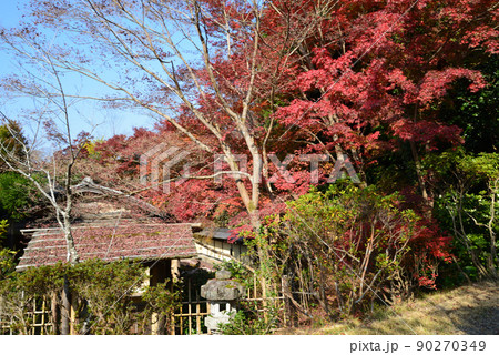 春風萬里荘　2021-11-20　　＃4 90270349