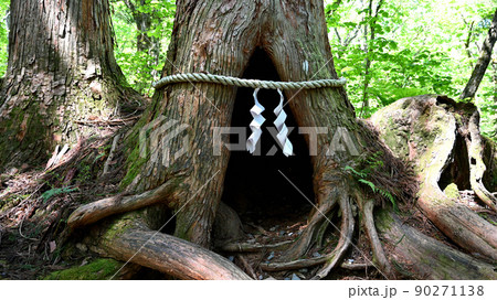 戸隠神社奥社の杉並木参道(長野県長野市)＊高画質 90271138