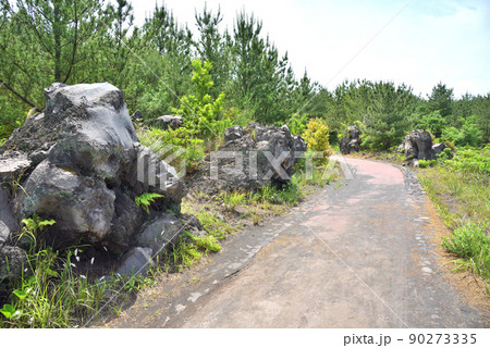 桜島溶岩なぎさ遊歩道の火山岩 桜島溶岩なぎさ遊歩道の火山岩 90273335