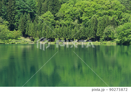 新緑に染まる5月の湖 90273872