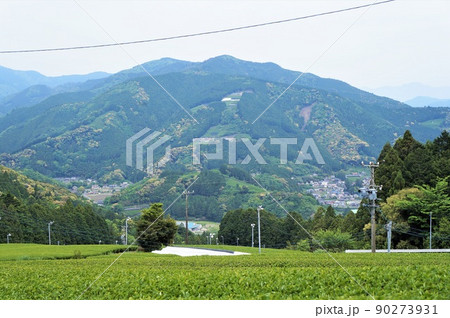 川根町家山の茶畑と家山の風景【掛川川根線からの眺望】 川根町家山の茶畑と家山の風景【掛川川根線からの眺望】 90273931