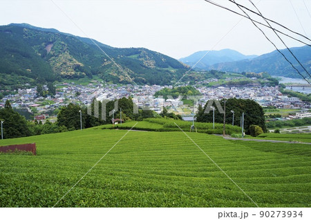 川根町家山の茶畑と家山の町並み【掛川川根線からの眺望】 川根町家山の茶畑と家山の町並み【掛川川根線からの眺望】 90273934