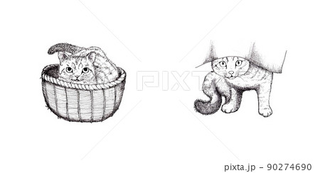 猫の線画イラスト 90274690